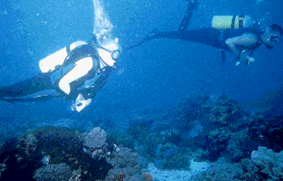 Diving buddy